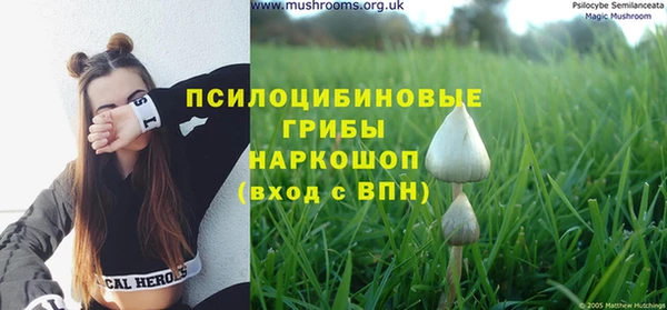 МДМА Алексеевка