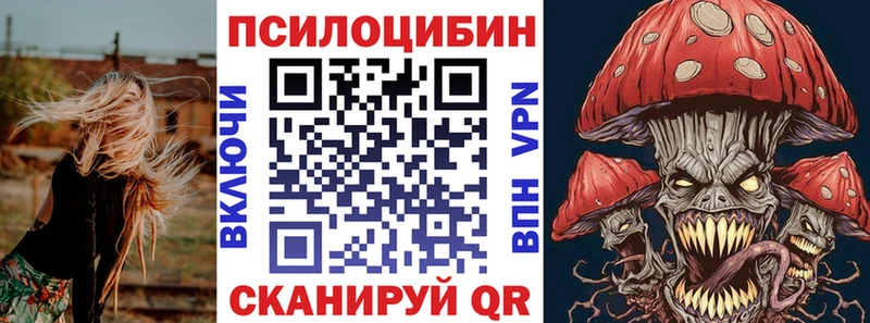 магазин наркотиков Гвардейск Галлюциногенные грибы Psilocybine cubensis